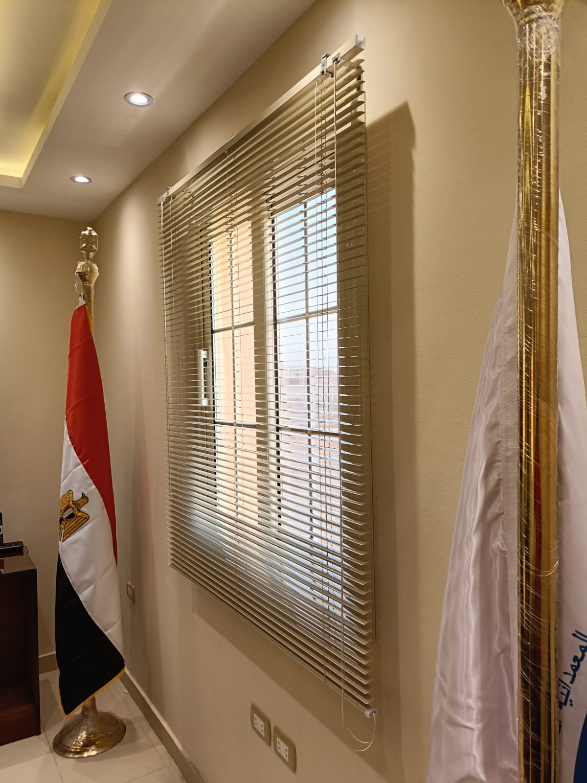 Metallic Blinds - 1